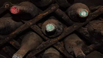 World's oldest Italian wine found