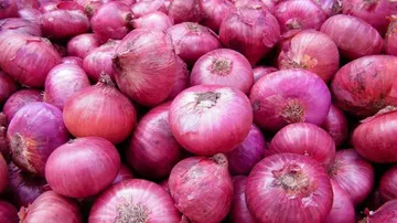 Centre assures immediate and ample onion supply to states