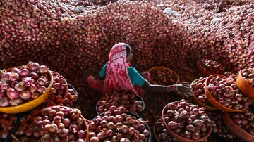 Minimum export price of onions reduced