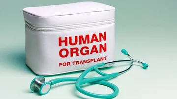 Now an algorithm-based system to facilitate organ transplants