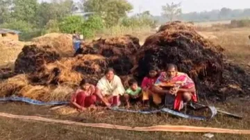 Over 200 Quintals of Paddy Gutted In Fire In Odisha