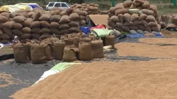 Pre-monsoon showers, thunderstorm damage crops, houses in Odisha villages