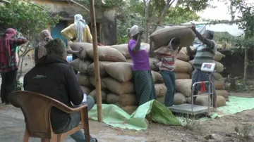 Odisha Farmers Receive Payments Twice For Paddy Procurement