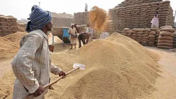 Rabi Paddy Procurement In Odisha: 'Registration Guidelines For Sharecroppers Unfortunate'