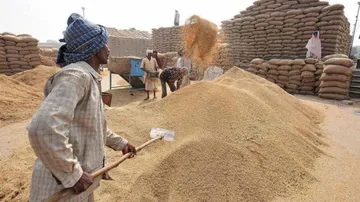 Paddy Procurement: The Perennial Scam