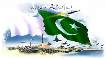 Pak points finger at India over army officer's disappearance