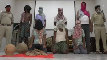 Pangolin Smuggling: Ex-Sarpanch Among Seven Arrested In Odisha
