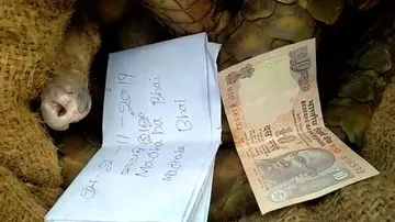 Pangolin Smuggling In Odisha: Notorious Wildlife Trafficker Nabbed