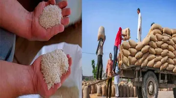 Parboiled Rice Issue: BJD Tries To Keep Western Odisha Politics On Boil!