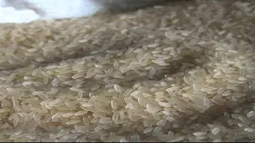 Locals in Nuapada demand probe into plastic rice sale