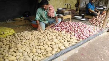 'Hot' Potato prices in Odisha will cool down by New Year day!