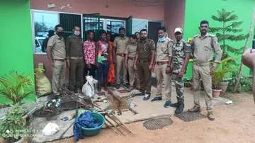 Leopard Head And Skin, Wild Boar Meat, Pangolin Scales Seized In Odisha