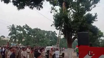 Man Rescued During Suicide Bid From Treetop In Odisha's Capital