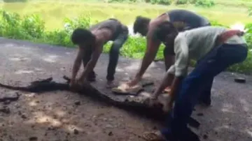 Substandard Road Construction Irks Locals In Nayagarh District