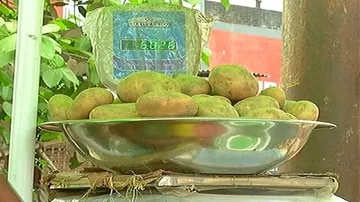 Potato prices to touch Rs 40 per kg: Minister