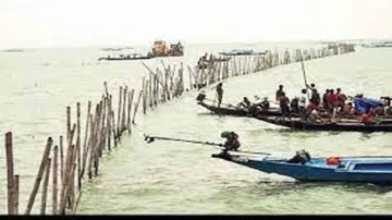 Orissa High Court Orders Eviction Of Illegal Prawn Gherries From Chilika, Bhitarkanika