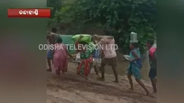 Watch: Villagers Carry Pregnant Woman On Cot To Reach Ambulance In Absence of Road