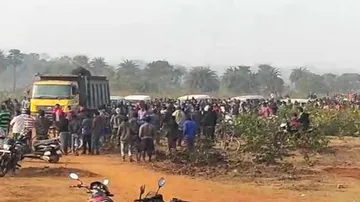 Elephant Attack Deaths: Forest Officials Unable To Relocate Captured Wild Tusker