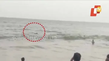 Caught On Cam: Lifeguards Save Tourist From Drowning In Puri Sea