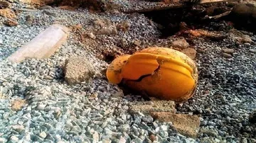 8 killed in quarry blast in Andhra Pradesh