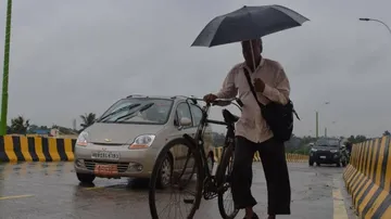 rain