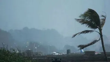 1,256 lightning deaths reported in 3 years in Odisha