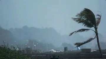 Heavy rainfall forecast for Odisha, collectors asked to remain alert: SRC