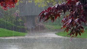 Withdrawal of southwest monsoon begins: IMD