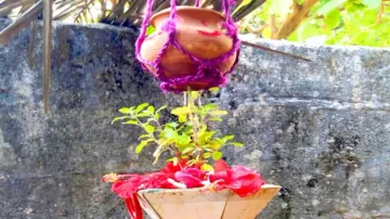 Odia New Year: Know its importance, rituals and more 