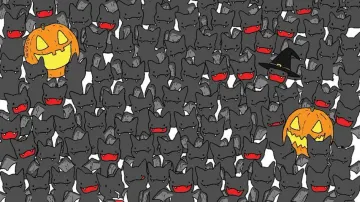 Only sharp-eyed individuals can spot the hidden cat among bats in 6 seconds!