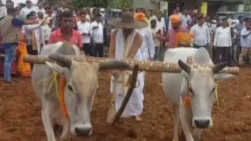 Akshaya Tritiya: Political leaders celebrate while farmers cry for seeds