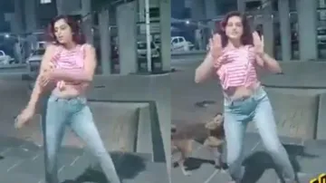 ‘Basanti’ dances in front of dog, watch happens next