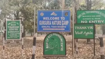 Rare melanistic tiger found dead in Similipal, forest dept suspects infighting