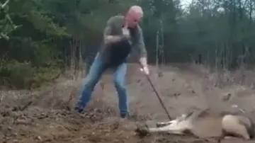 Brave man risks own life to save wolf from trap, bone-chilling video goes viral