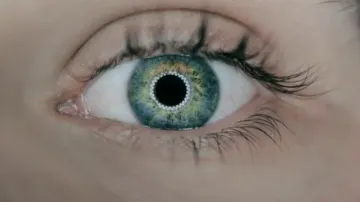 IIT Delhi study finds brain structures to help treat blindness