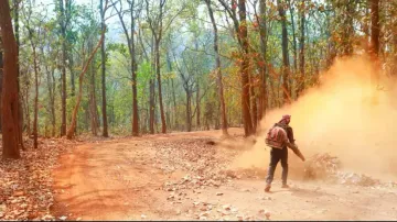 Odisha forests thrown open to un-regulated exploitation 