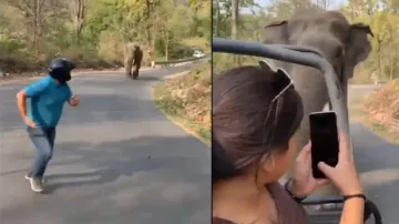 Wild elephant attacks group of people on road, watch how they escape luckily