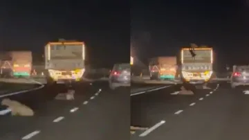 ‘Fast & Furious’ style theft video goes viral