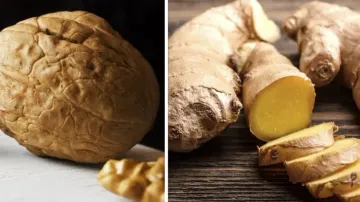 Black walnut, ginger root