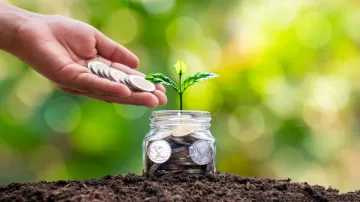 Blue Chip funds: A smart & safer investment choice 