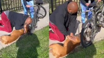 Angels are real! Man saves doggy with ‘kiss of life’ & CPR; video leaves netizens emotional; watch