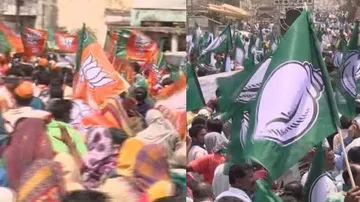 BJD-BJP Flag