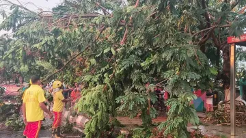 Nor’wester hits Bhubaneswar; trees uprooted, normal life affected