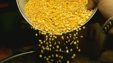 Skyrocketing prices of pulses 