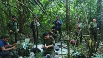 Kids found alive after plane crash 