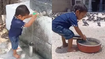 Netizens in awe of young boy helping birds drink water