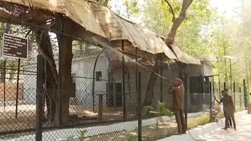Water Being Sprayed On Enclosures Of Zoo