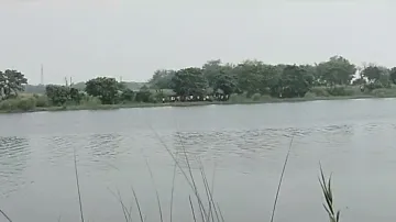 Crocodile kills 10-year-old boy in Kendrapara