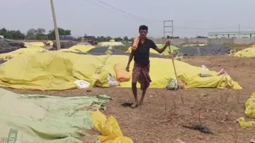 Monsoon advancement, snail-pace paddy procurement leave Odisha farmers in lurch