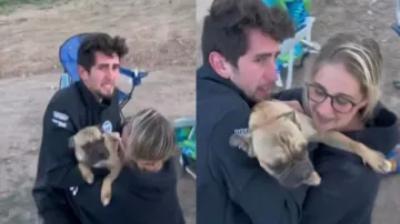 Lost pet dog reunites with its owners; emotional video will leave you teary-eyed